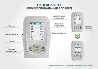 СКЭНАР-1-НТ (исполнение 01)  в Сергиево Посаде купить Медицинский интернет магазин - denaskardio.ru 