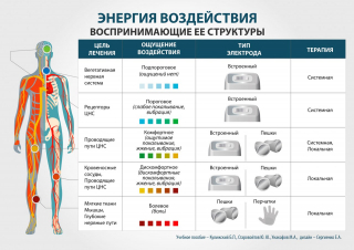 СКЭНАР-1-НТ (исполнение 01)  в Сергиево Посаде купить Медицинский интернет магазин - denaskardio.ru 